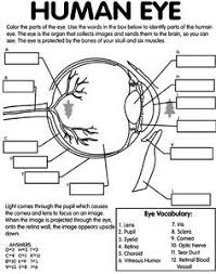 Pin On Blind And Low Vision