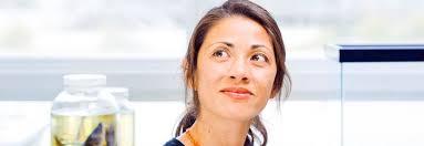 Faculty & Researchers