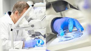 The area to be tested will be sprayed with water to keep loose fibers from getting in the air. Asbestos Testing Nz Ianz Accredited Hill Laboratories Nz