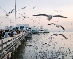 รูปภาพสถานตากอากาศบางปู สมุทรปราการ