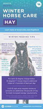 Washing hay before serving does not mean that it is now. Winter Hay 101 How Much To Feed Your Horse And Why