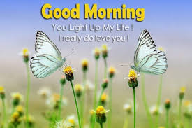 There'd be no reason to get up in the morning without you to light the sun with your smile. Good Morning You Light Up My Life Good Morning Images Quotes Wishes Messages Greetings Ecards