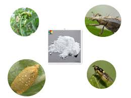 Don't apply products unless there is a problem to solve; China Pest Control Avermectin Powder For Fruit Tree And Vegetables China Avermectin 1 8 Pest Control Avermectin