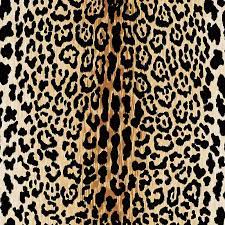 Galaxy vinyl camel discount designer fabric fabric com, desert camels fabric may designs spoonflower, 3 yard cotton printed red color fabric traditional look, decorative illustration camel stock vector illustration, machine leopard velvet camel fabric by the yard ballard designs. Pin On Cool Furniture