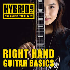 Hello #everyone, I need some help with shredding