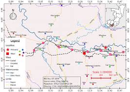 Image result for Trachyphrynium braunianum