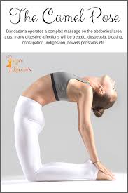 Learn the correct steps of performing the camel pose in order to reap the ustrasana yoga benefits to the. Pin On Yogirainbow