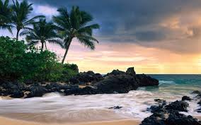 September 18, 2014 in beach by jamie langston. 49 Beach Wallpaper Windows 7 On Wallpapersafari