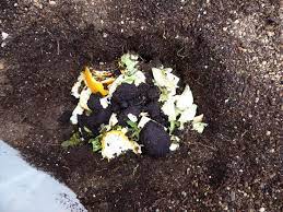 衣装ケースで作ったコンポスト キエーロもどき を観察してみました かわさんどっとわーく コンポスト 衣装ケース 食糧