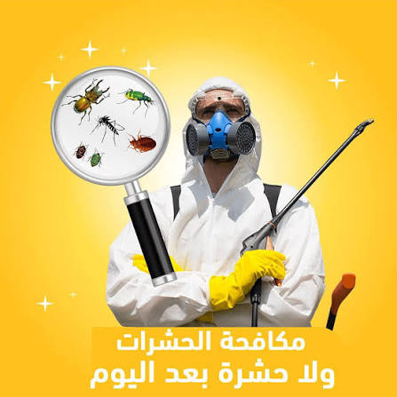 وصف الصورة