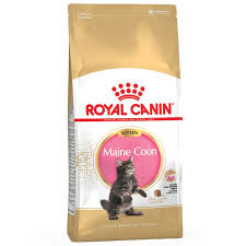 We provide lifetime breeder support and encourage all of our kitten families to send us updates. Royal Canin Maine Coon Kitten Zu Top Preisen Bitiba