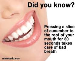 Bad Breath Quotes Quotesgram