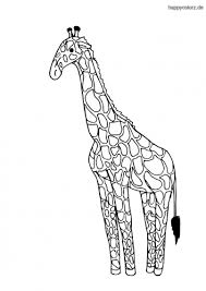 April 2020 tier keine kommentare. Giraffe Ausmalbild Kostenlos Giraffen Malvorlagen