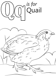 Letter Q Is For Quail Coloring Page From Letter Q Category Select From 26355 Printable C Alphabet Coloring Pages Kindergarten Coloring Pages Alphabet Coloring