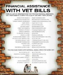 A healthcare specific card, the carecredit healthcare card can be used for people and their dogs. Financial Help Canine Megaesophagus All About Me
