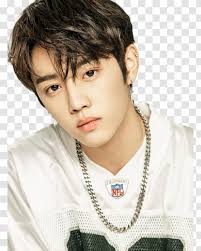 .cre.ker entertainment remove new and sunwoo from the boyz, spurred by the controversy born from misogynistic social media posts allegedly made by the boyz's sunwoo. The Boyz Giddy Up K Pop Sun Woo Tree Boy Transparent Png