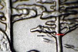 Image result for Plata 2005 Disarno