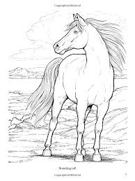 Wonderful World Of Horses Coloring Book Dover Nature Coloring Book John Green 0800759444656 Dover Coloring Pages Horse Coloring Pages Horse Coloring Books
