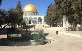 We did not find results for: New Carpets At Dome Of Rock Spark Religious Row Rekindle Holy Ark Mystery The Times Of Israel