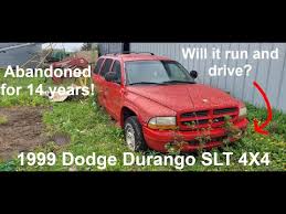 Image result for Light Driftwood 1999 Durango