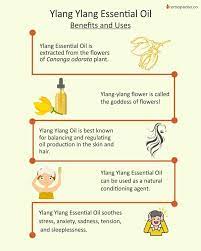 Cover hair with a plastic cap and a towel for about 20 minutes. Ylang Ylang Essential Oil Uses And Benefits Aromapedia