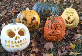 Leave it in a cool, dark place until you cook it. Carve A Cooler Pumpkin This Halloween Stab Into A Jarrdale Polar Bear Or Knuckle Head Mainetoday