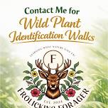 Frolicking Forager Herb Walks August 22/2026