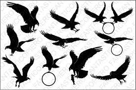 Download Bald Eagle Svg Files For Silhouette Cameo And Cricut By Pierographicsdesign Thehungryjpeg Com