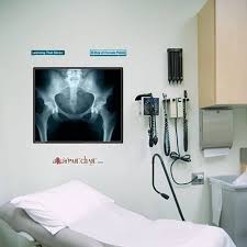X Ray Of The Female Pelvis Anatomy Dry Erase Sticky Wall Chart 27 In X 40 In