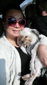 Poppa Rocka Wolf and his horses