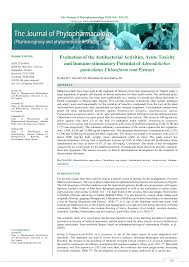 Image result for Adenodolichos