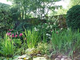 Der hund verspeist genüsslich eine blume aus ihrem garten und die katze knabbert an der topfpflanze. Kleine Garten Ganz Gross Gartenzauber
