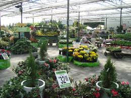 Tauranga New Zealand Flower Nursery Garden Center Garden