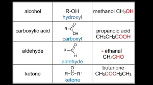 10 1 functional groups sl