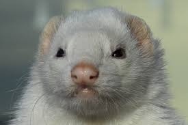 spacer.png