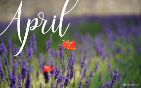 We did not find results for: April 2019 Free Desktop Calendar Wallpaper From Marmalead