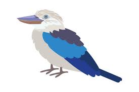 Kookaburras are terrestrial tree kingfishers of the genus dacelo native to australia and new guinea, which grow to between 28 and 42 centimetres (11 and 17 inches). Kookaburra Svg Plotterdatei Von Creative Fabrica Crafts Creative Fabrica
