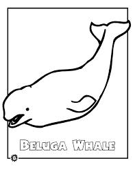 You could also print the image. Coloring Pages Whales Coloring Home