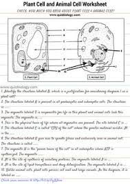 The cell membrane is selectively permeable to substances, which means that it permits entry and exit of certain molecules only. 7 Education Ideas Biology Classroom Cell Organelles Animal Cells Worksheet