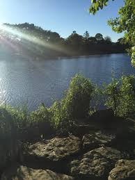 Marjorie R. Post Community Park (2025)