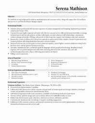 Project Manager Resume Template Valera In 2020 Project Manager Resume Resume Examples Cute766