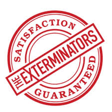 Unfortunately, bed bugs present one of the most difficult challenge facing the pest control industry today. Bed Bug Control Georgetown Bed Bug Exterminator