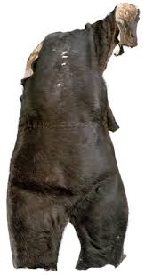 Image result for tbn:F7HKJEZ28fhrGM::www.artthrob.co.za/06jan/images/borland02a.jpg