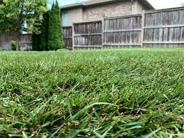 See more ideas about sod, yard, house styles. Sod Installation In London Ontario Simpliscapes