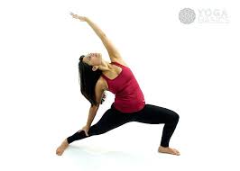Reverse Warrior Standing Yoga Basic Yoga Easy Yoga Poses