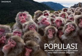 Folio sains tingkatan 2 ekosistem. Saling Bersandaran Antara Organisma Hidup Spesies Populasi Komuniti Habitat Dan Ekosistem