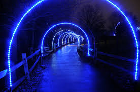 Wildlights At The Columbus Zoo And Aquarium Nov Jan 1 Columbus Zoo Zoo Family Fun