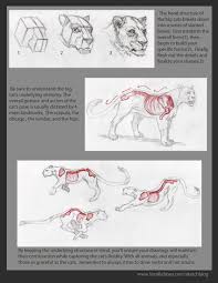 We did not find results for: Cat Anatomy Animal Drawings Animal Sketches