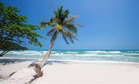 5 Unspoiled Best Beaches In Phu Quoc Island Living Nomads Travel Tips Guides News Information Phu Quốc Island Phu Quoc Most Beautiful Beaches