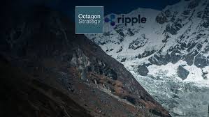 We 'remain bullish' on bitcoin. Octagon Strategy Cryptoninjas